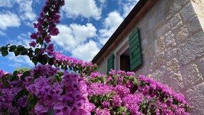 Ein Gebäude aus Stein mit grünen Fensterläden und blauem Himmel.