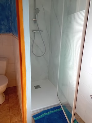Ein Badezimmer mit Dusche, Toilette und einer blauen Matte.