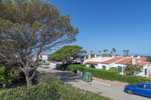 A coastal street with white buildings, a large tree, and a blue car.