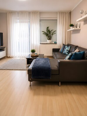 Fernseher