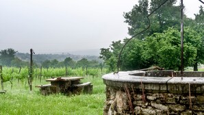 Une structure en pierre avec un banc, entourée de verdure et d’une clôture.