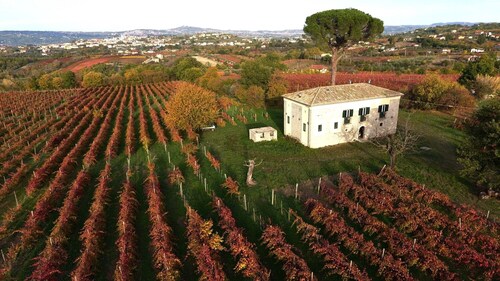 San Pietro Country House B&B – Maison historique au cœur des vignobles irpins