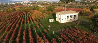 San Pietro Country House B&B – Historic Stone Retreat Amidst Irpinia Vineyards