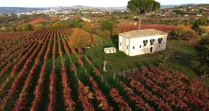 San Pietro Country House B&B – Maison historique au cœur des vignobles irpins