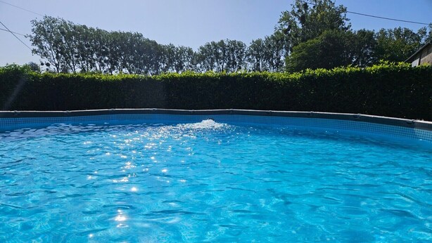 Una piscina azul cristalina rodeada de setos y árboles.
