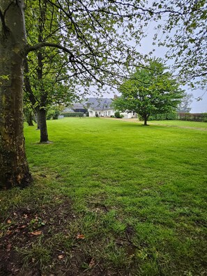 Een gazon met bomen en een gebouw op de achtergrond.