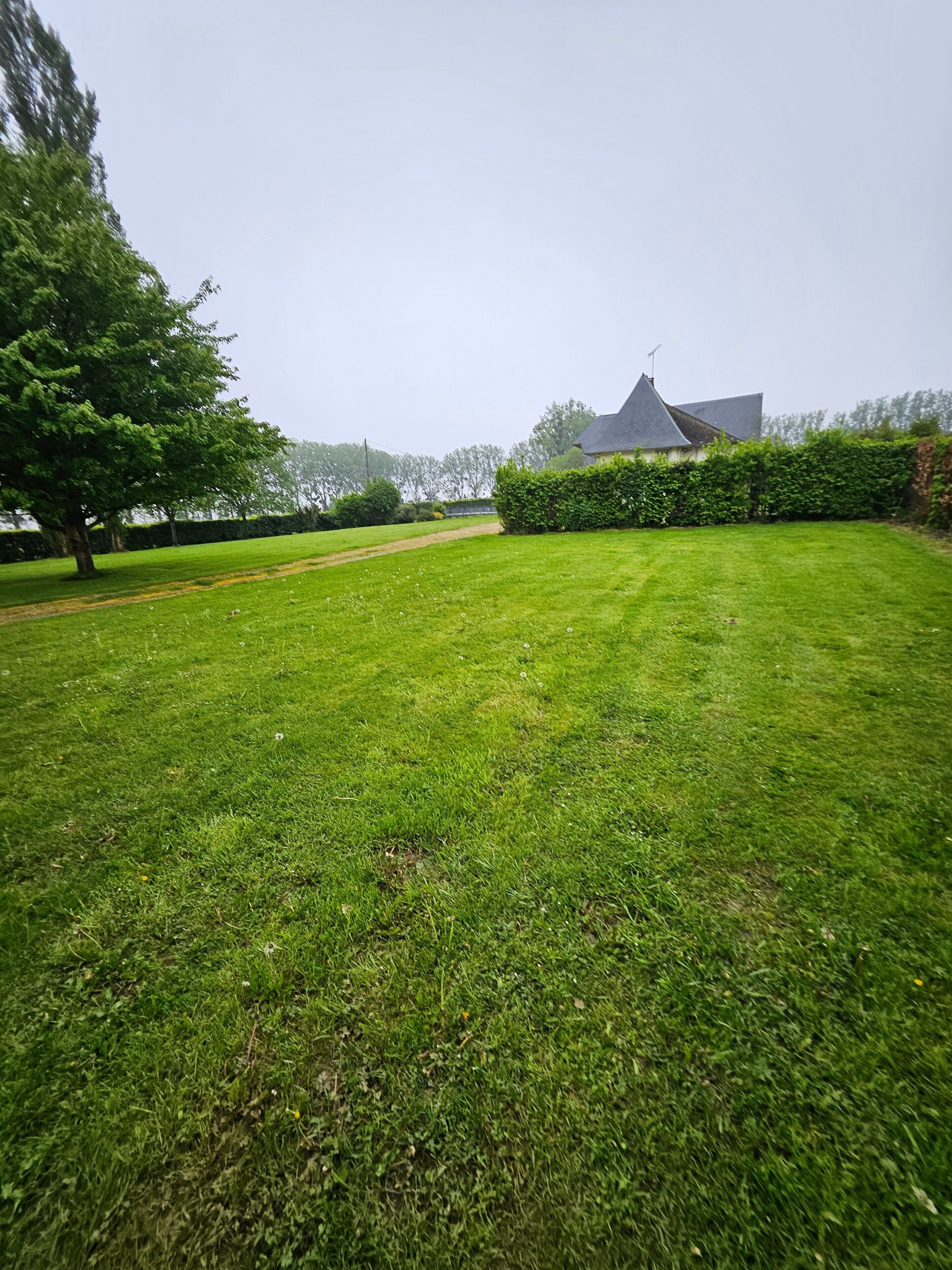 A well-maintained grassy lawn with a hedge and a building in the background.