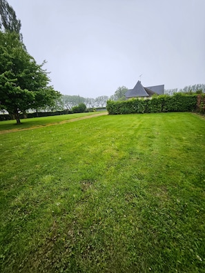 Een verzorgd gazon met een haag en een gebouw op de achtergrond.