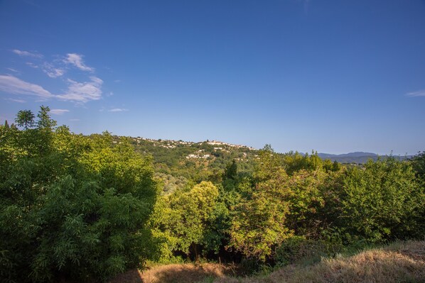 A natural landscape with dense greenery and a distant hill with buildings.