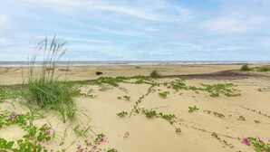 A beach with sand, grass, and small plants.