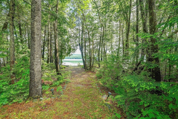 Un sentier bordé d’arbres qui mène à un plan d’eau.