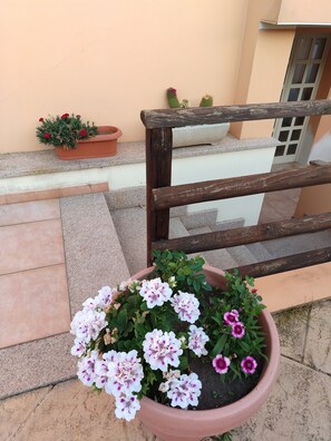 Exterior detail - Lola House Between Alghero and Stintino (Palmadula)