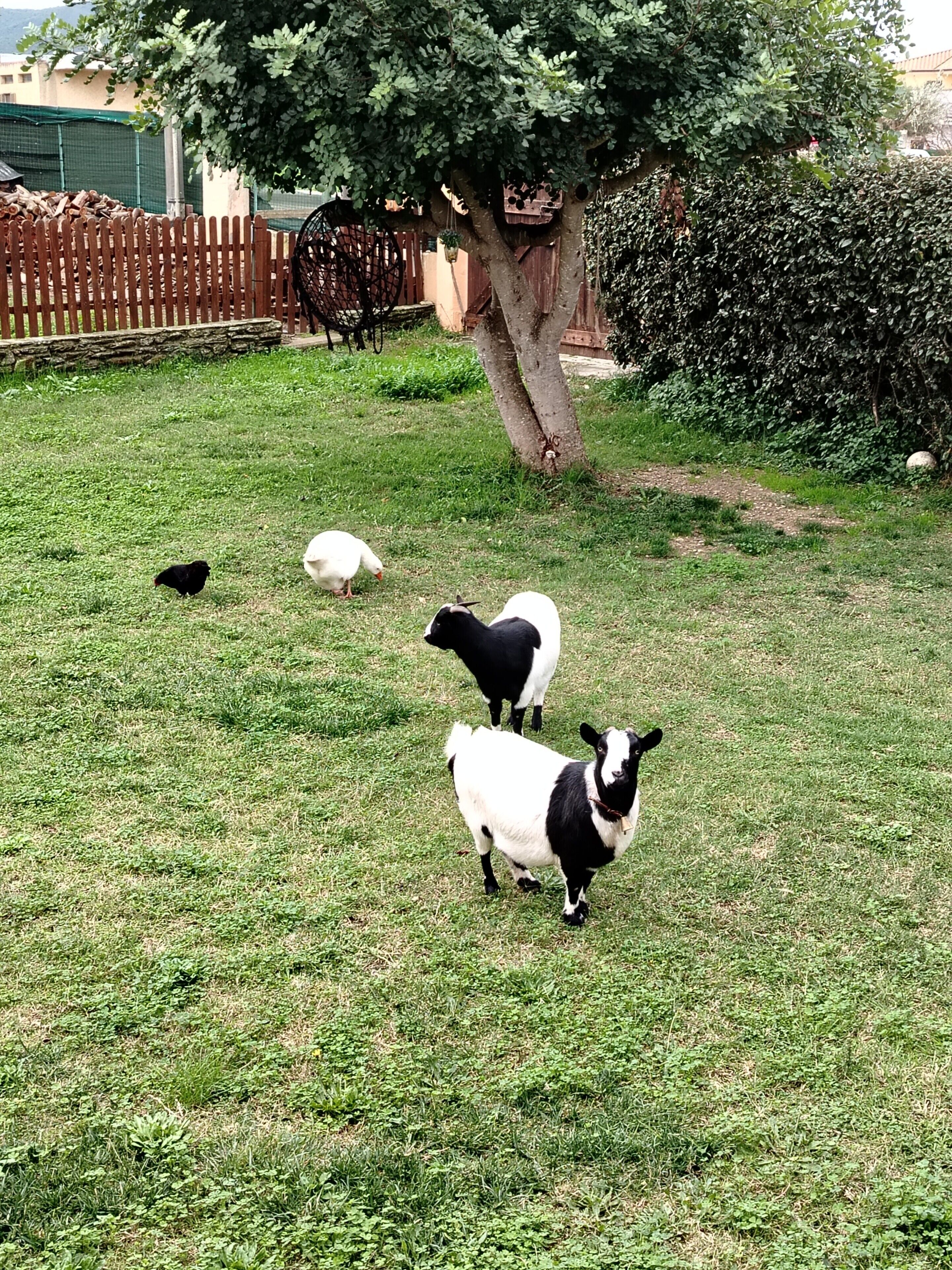 Parco della struttura