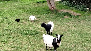 Parco della struttura