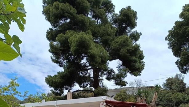 Una casa de dos pisos con un porche cubierto, un muro de contención de piedra y un jardín con flores de colores.