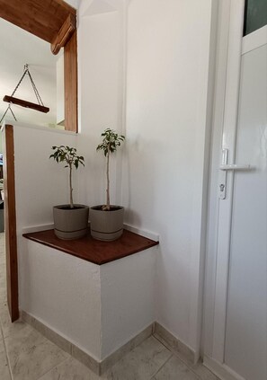 Nurkka, jossa valkoisella seinällä on kaksi ruukussa olevaa kasvia, puupalkki ja valkoinen ovi.
