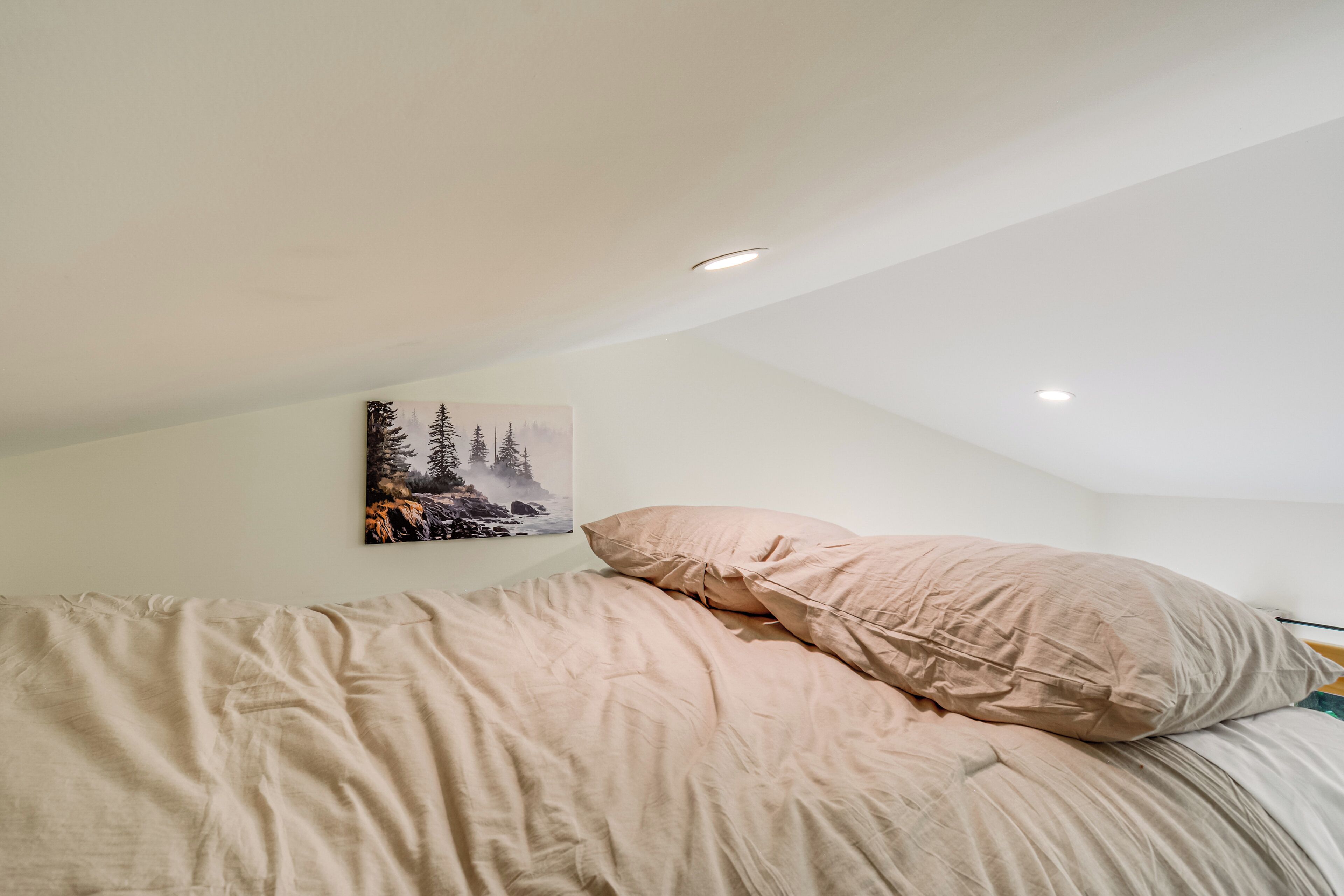A bedroom with a bed, a pillow, a wall-mounted picture, and a ceiling light.