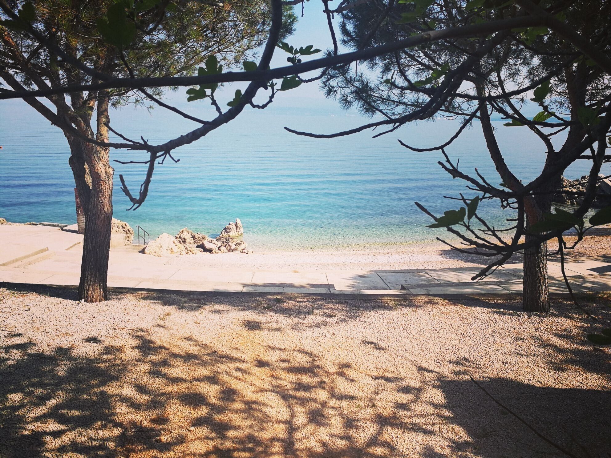 Ein Strand mit klarem Wasser, einem Sandufer und Bäumen, die den Blick einrahmen.