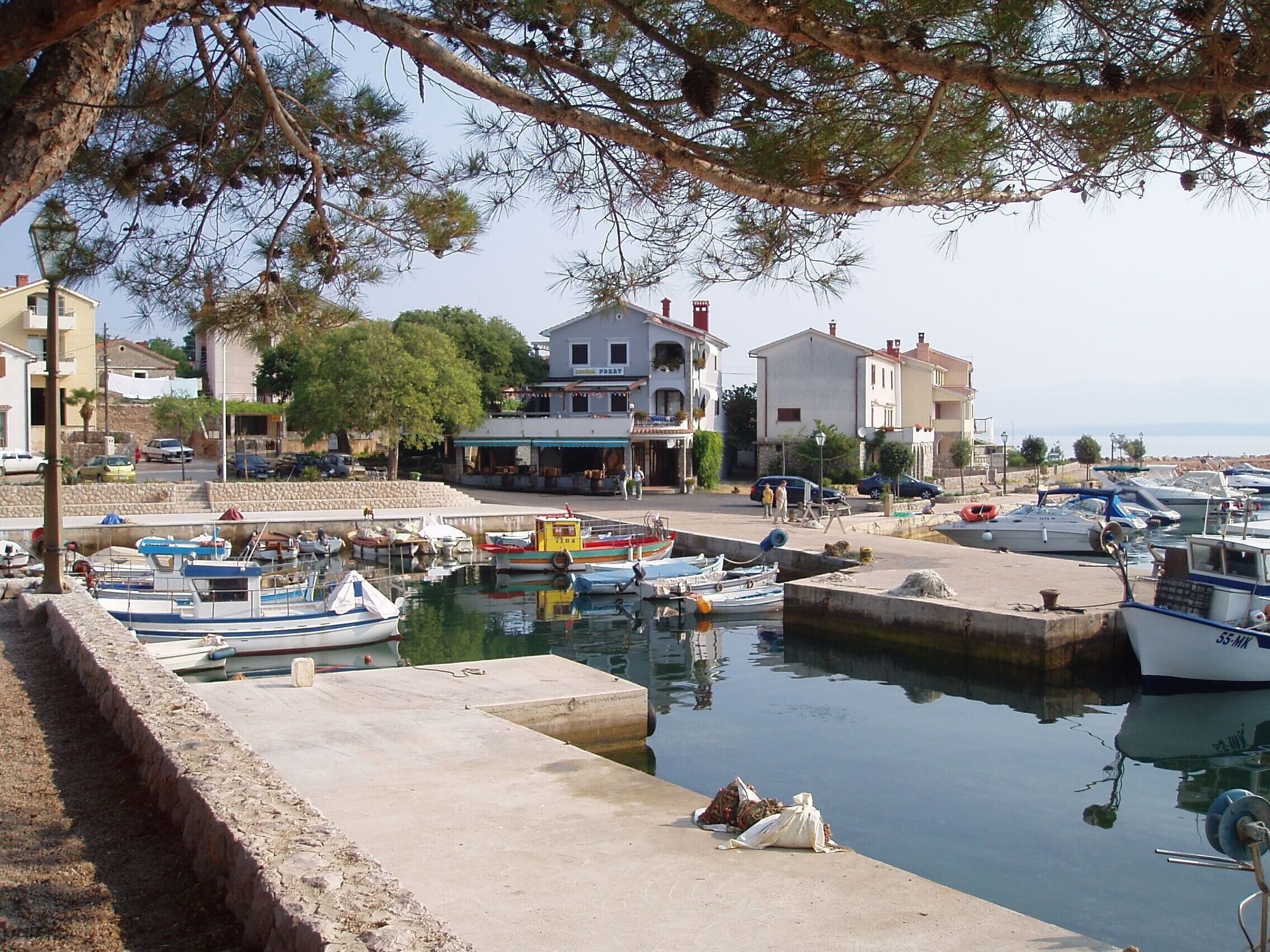 Un puerto deportivo con barcos amarrados, un perro en el muelle y edificios al fondo.