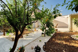 A garden with trees, potted plants, and a pathway.