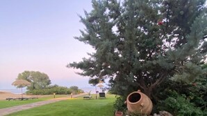 Een gazon met een grote boom, een grote terracotta pot en een bank.