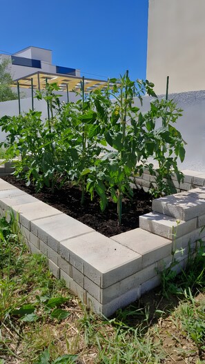A raised garden bed with tomato plants, surrounded by concrete blocks, against a modern building. - Villa Anchor Vrsi - an unforgettable vacation in Dalmatia (Vrsi)