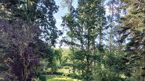 A lush garden with a variety of trees and a well-maintained lawn. - Guest Room “Le Manoir Du Tertre - Room 2” with Terrace, Garden and Wi-Fi (Saint-Josse)