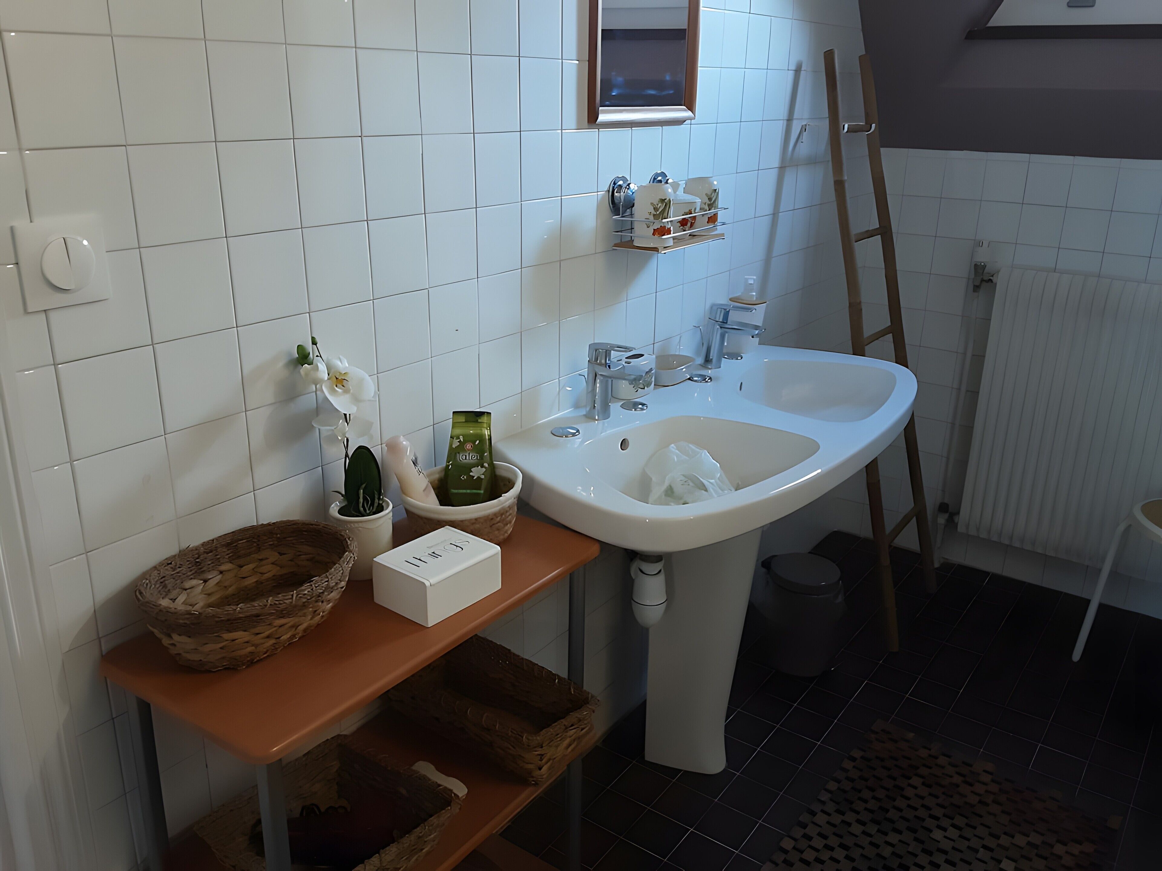 Une salle de bain avec un lavabo blanc, un miroir, un porte-serviettes, une petite plante en pot et une poubelle.