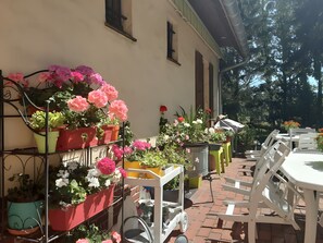 Ristorazione all'aperto