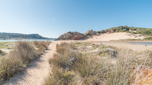 Un sentier de sable qui longe la plage et mène à une zone rocheuse où la végétation est clairsemée.