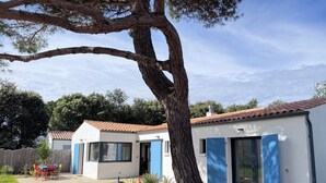 Ein modernes Haus mit Terrasse, einem großen Baum und einer blauen Tür.