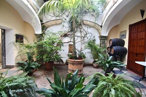 Ein Innenhof mit Blumentöpfen, einer Palme und einem Fass.