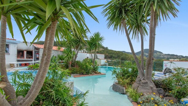 Une piscine entourée de palmiers et de plantes, avec un bâtiment en arrière-plan.