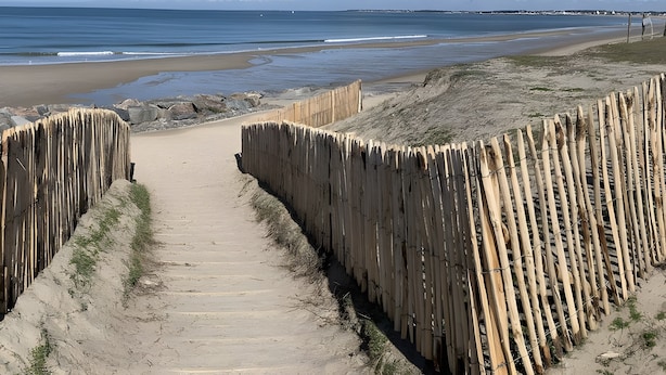 Een zandpad langs het strand dat naar de oceaan leidt, met een houten hek aan één kant en een helder uitzicht op zee en lucht.