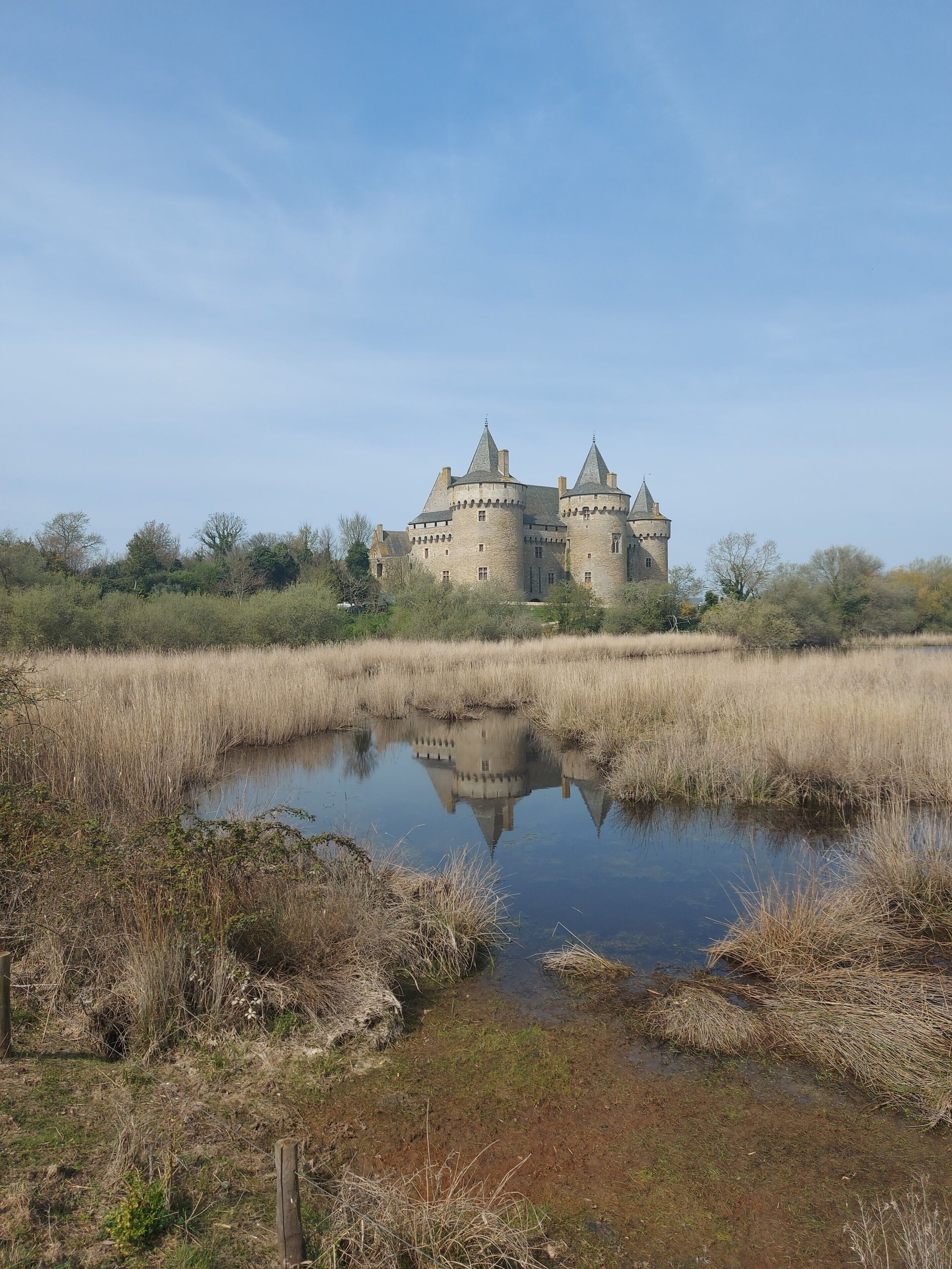 A castle with a moat and surrounding marshland.