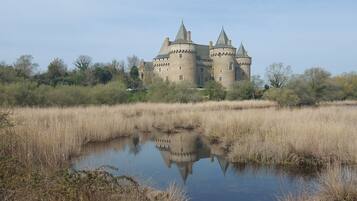 A castle with a moat and surrounding marshland.