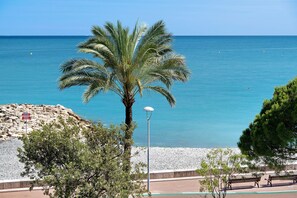 Ein Küstenblick mit einer Palme, Bänken und einem tiefblauen Meer.