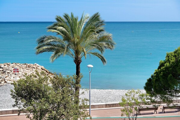 A coastal view with a palm tree, benches, and a clear blue sea. - T3 Seafront Apartment with Sea View, Wi-Fi, and Air Conditioning (Cagnes-sur-Mer)