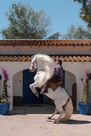 Eine Person reitet auf einem weißen Pferd vor einem Gebäude mit einem Ziegeldach und blauen Türen.