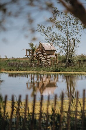 A wooden structure with a staircase, situated by a calm body of water, surrounded by tall grasses and trees. - Mas de Dard, an Exceptional Estate in Provence, with a heated pool and a padel court (Saintes-Maries-de-la-Mer)
