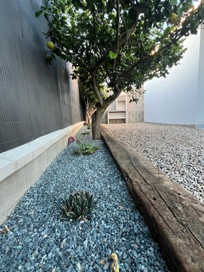 Ein Garten mit Baum, Kies und einer Holzbank.