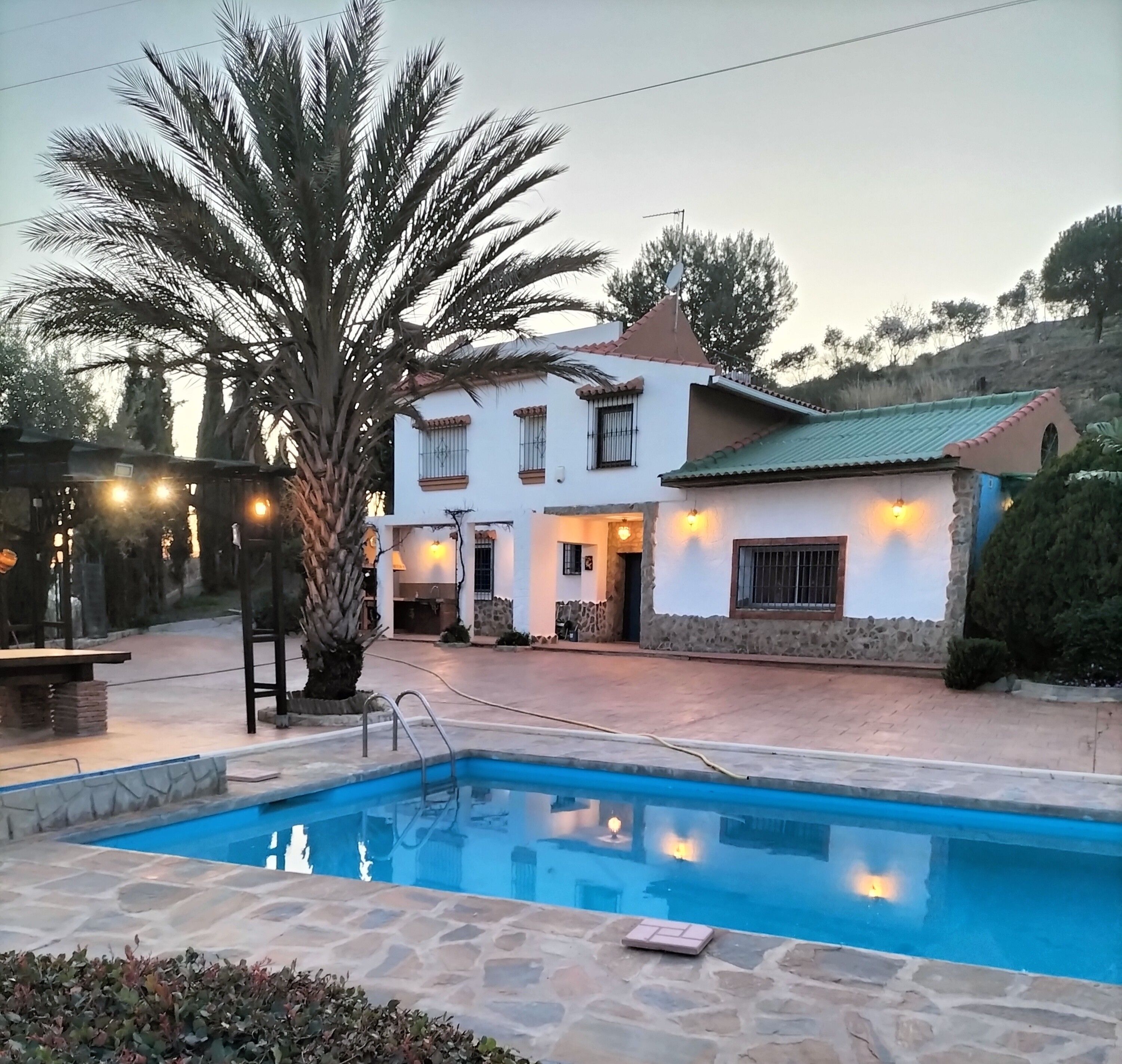 A two-story house with a swimming pool, outdoor lighting, and a large palm tree.