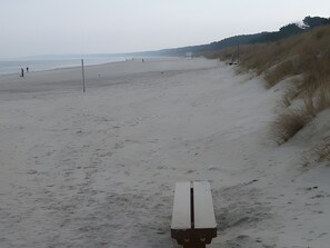 Uma praia com um banco, areia e dunas.