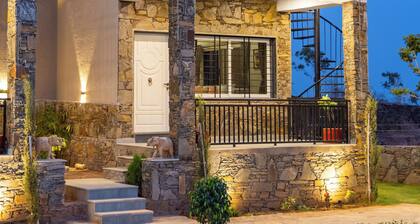 Alaya Stays The monolith 4 BHK Villa