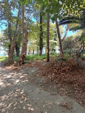 Un sentier de terre bordé d’arbres et délimité par une clôture en bois.