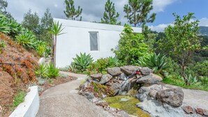 A modern house with a small window, surrounded by a variety of plants and a small water feature. - Apartment 'Pool  View' with Shared Pool, Shared Garden and Wi-Fi (Gaula)