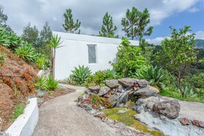 A modern house with a small window, surrounded by a variety of plants and a small water feature. - Apartment 'Pool  View' with Shared Pool, Shared Garden and Wi-Fi (Gaula)
