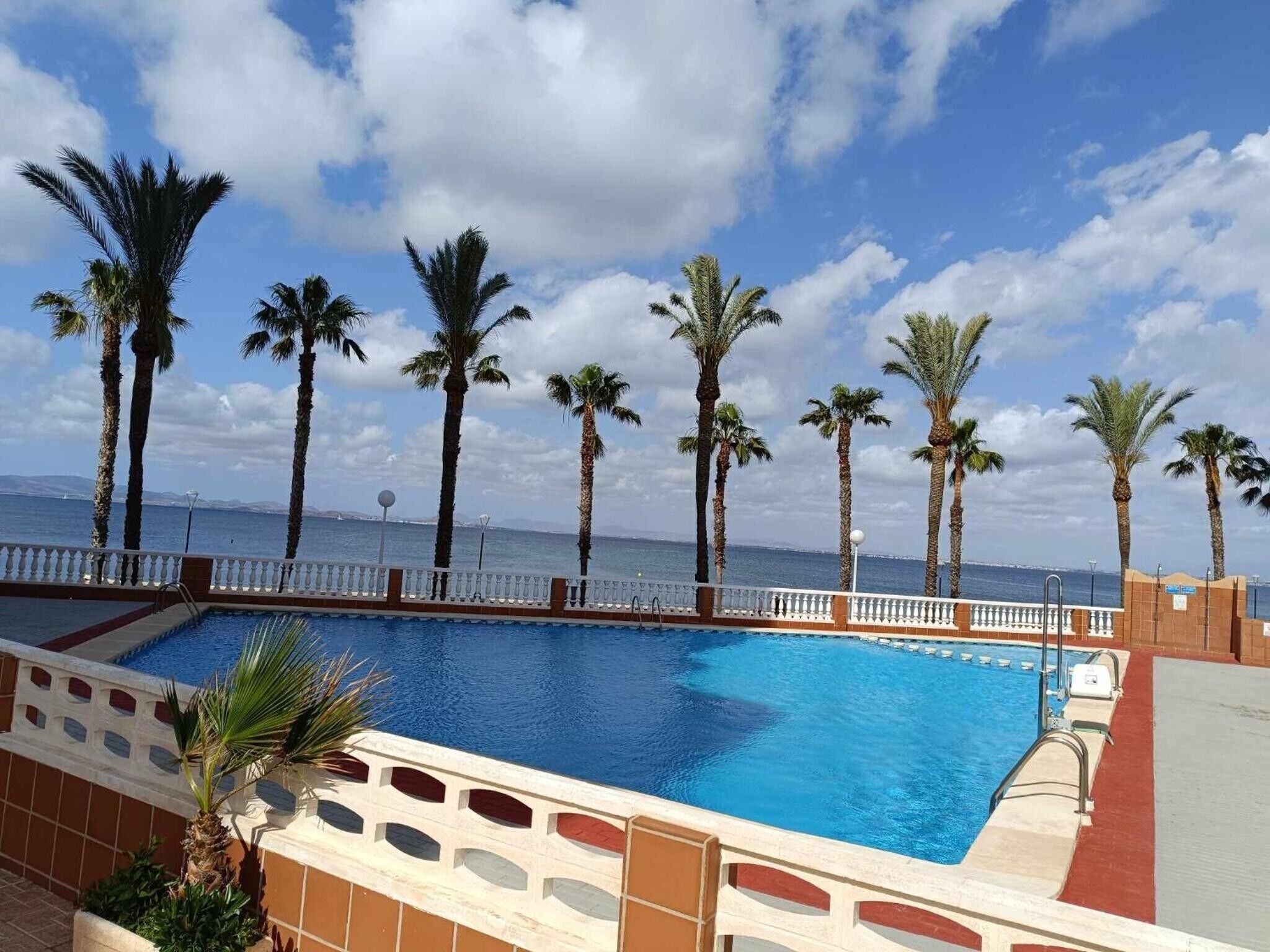 A swimming pool with a view of the sea, surrounded by palm trees.