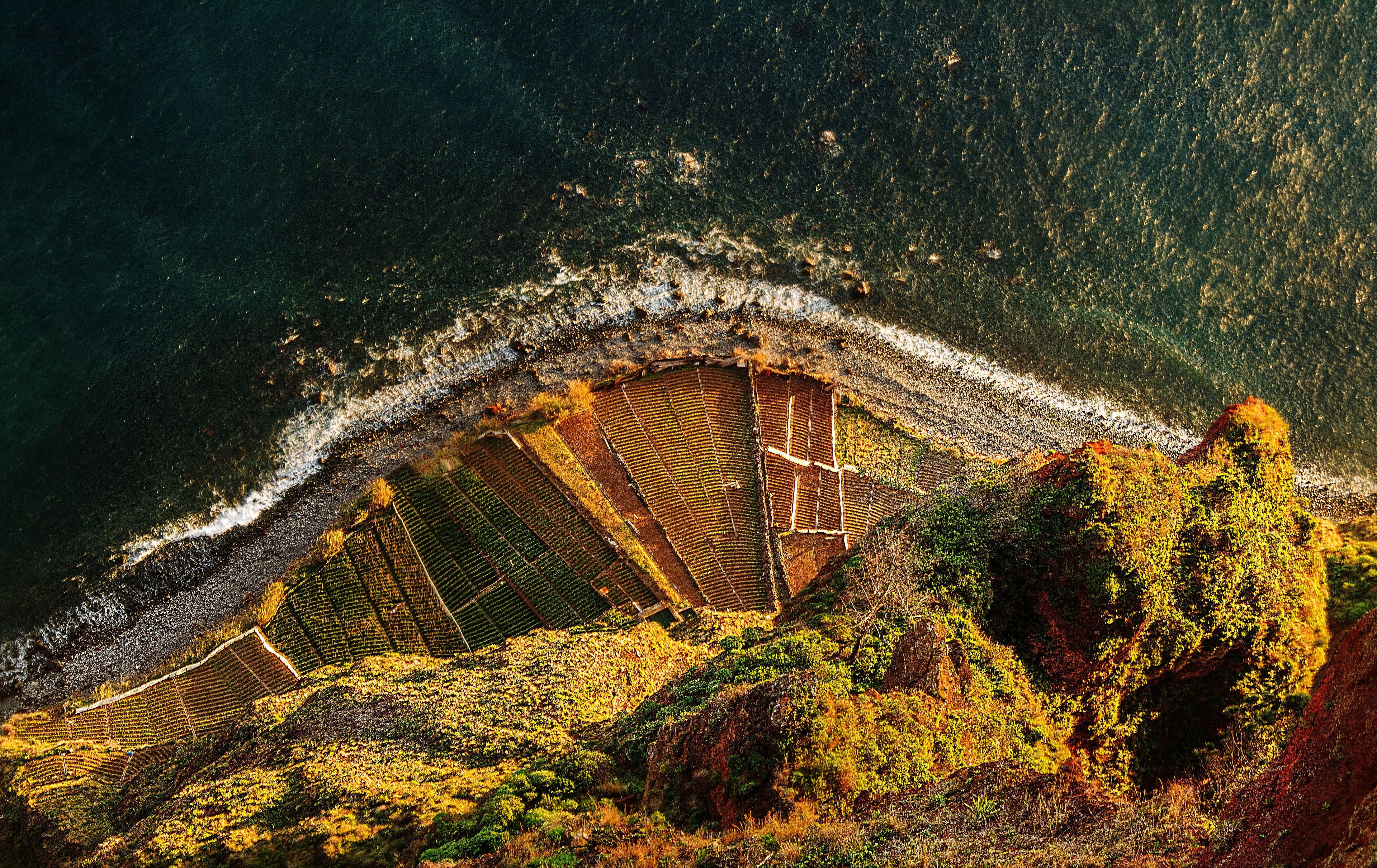 An aerial view of terraced fields with a coastal backdrop.