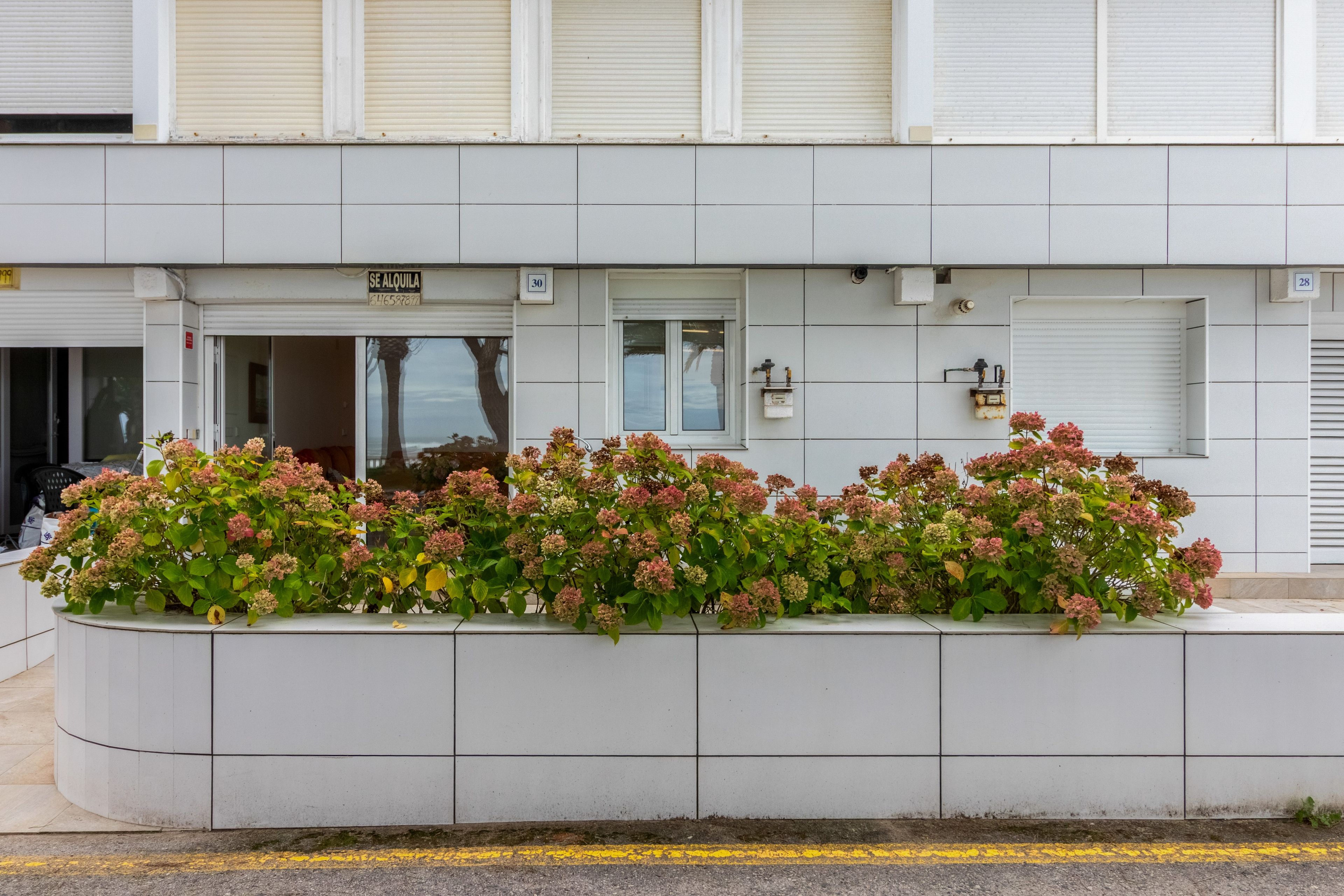 Detalle del exterior